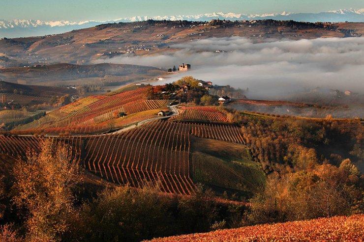 I Boidi Διαμέρισμα Nizza Monferrato Εξωτερικό φωτογραφία